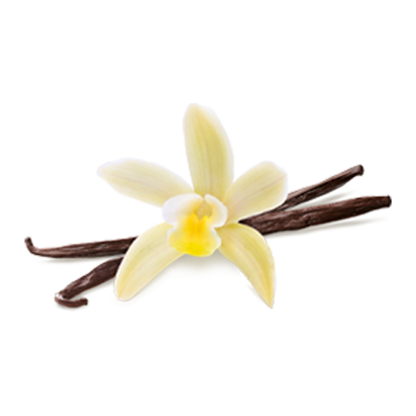 vanilla ingredient